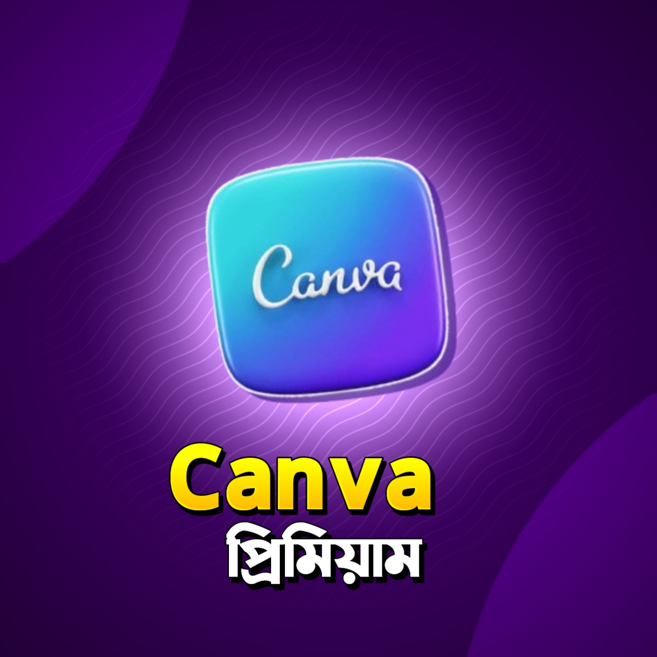 Canva Pro